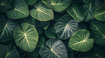 Tropical plants with large green leaves, layered to create a relaxing, nature-inspired background. generative ai