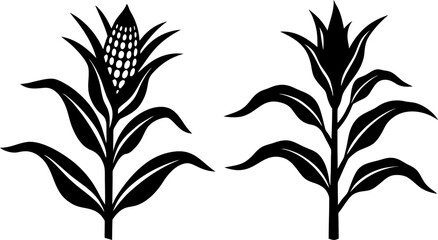 Corn plant solid icon vector art, Vector of growing corn with leaves of vegetable silhouette design