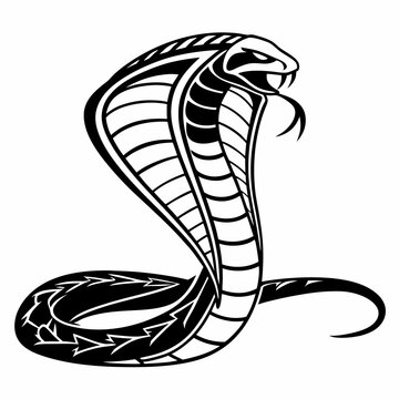 Cobra silhouette black vector