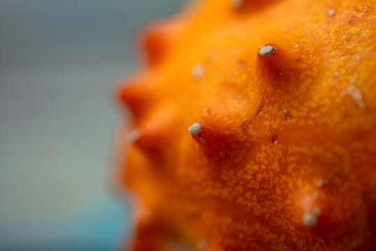 Le fruit kiwano - Cucumis metulifer