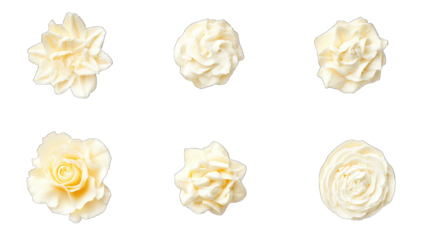 six delicate cream-colored floral designs arranged in a symmetri