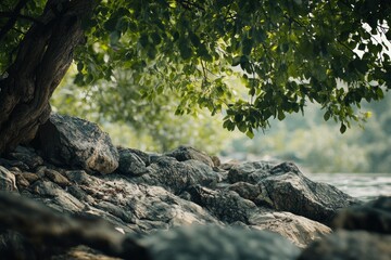 Relaxing Scene of River Rocks with Overhanging Tree Branches and Leaves