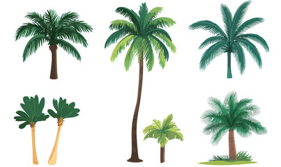 Tropical Palm Tree Vector Collection for Nature and Design Inspiration