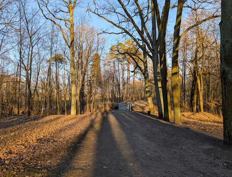 Early spring in the park