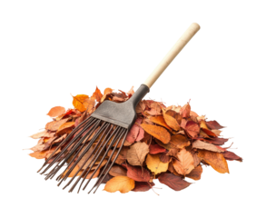 Raking autumn leaves backyard gardening isolated on transparent background, png