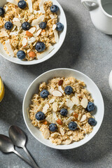 Healthy Homemade Gourmet Oatmeal with Blueberries