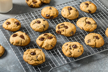 Homemade Miso Chocolate Chip Cookies