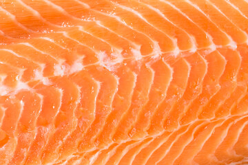 Raw Atlantic Salmon Fillet