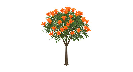 Fototapeta premium Trumpet vine tree with vibrant orange flowers against a white background