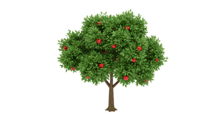 Isolated apple tree with red fruit ready for harvest concept