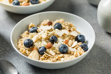 Healthy Homemade Gourmet Oatmeal with Blueberries