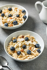 Healthy Homemade Gourmet Oatmeal with Blueberries