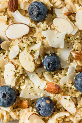 Healthy Homemade Gourmet Oatmeal with Blueberries