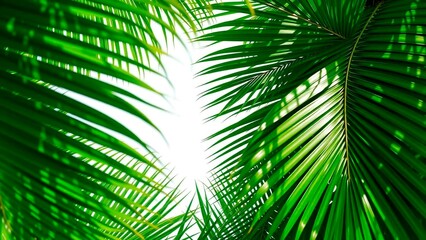 Lush green palm fronds reach towards the bright sky, creating a tropical oasis. The vibrant foliage forms a natural canopy.