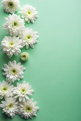 Top view of white flowers on pastel green background with empty space.