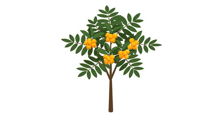 Isolated Vector Illustration of Rowen Tree with Yellow Berries and Green Leaves
