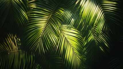 Sunlit palm leaves creating a beautiful interplay of shadows and textures, tropical paradise vibes generative ai