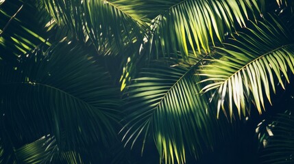 Sunlit palm leaves creating a beautiful interplay of shadows and textures, tropical paradise vibes generative ai