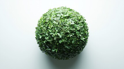 A rounded arrangement made of lush green foliage sits against a plain backdrop, showcasing a harmonious blend of natural beauty and simplicity in design