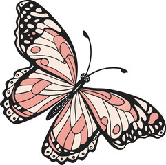 Colorful butterfly vector illustration on a white background