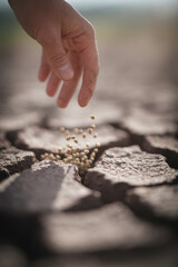 Hopeful Hand Sowing Seeds into Dry Earth Cracks Under Bright Sunlight Signifying Renewal and Growth