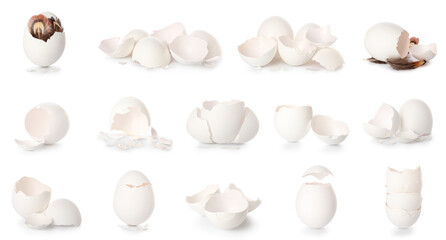 Set of egg shells on white background