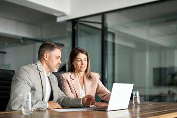 Smiling professional business woman manager consulting older Indian man client or colleague looking...