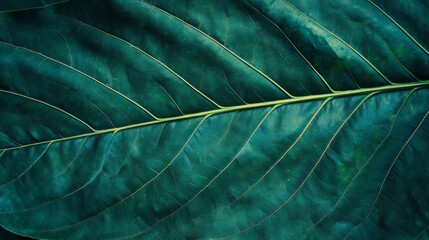 Tropical green leaf texture background, high resolution, macro photography, natural patterns generative ai
