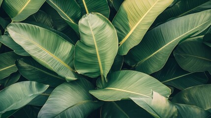 Tropical plants with large green leaves, layered to create a relaxing, nature-inspired background. generative ai