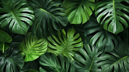 Tropical plants with large green leaves, layered to create a relaxing, nature-inspired background. generative ai