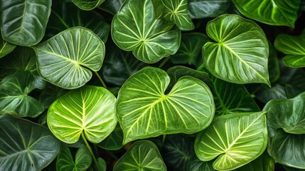 Tropical plants with large green leaves, layered to create a relaxing, nature-inspired background. generative ai