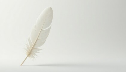 Close-up shot of pristine white feathers against a stark white backdrop , background, glossy