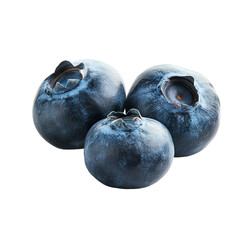 Obraz premium blueberries viewed from side at low angle