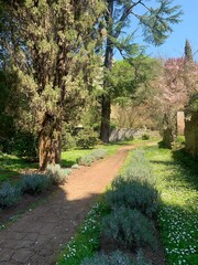 Pathway in garden in Italy