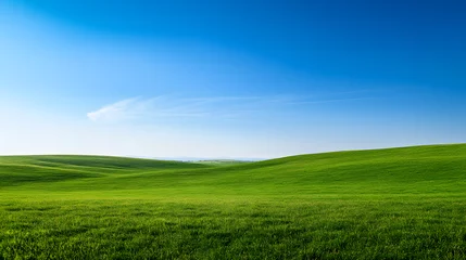 Selbstklebende Fototapeten A vast rolling green meadow under a bright blue sky. © Margarete