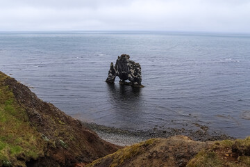 Hvitserkur, the basalt sea stack emerging from Húnaflói Bay in Iceland