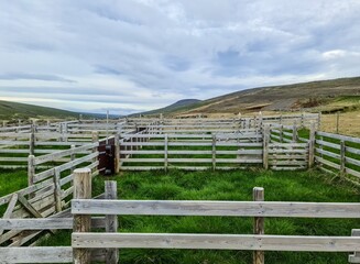 Wooden animal pens growing green grass in Iceland under cloudy sky
