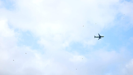 Fototapeta premium Passenger jet flying amid scattered clouds, winged companions surrounding sleek aircraft, symbolizing aerial journey and freedom