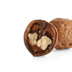 Tasty walnuts on white background