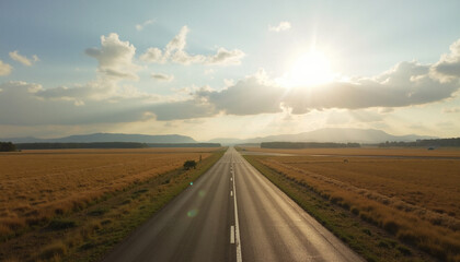 Naklejka premium road in the field