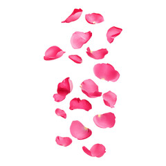 Fototapeta premium Delicate Pink Rose Petals Floating Gracefully Down
