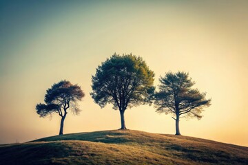 Obraz premium Three trees stand tall, silhouetted against a vibrant, nostalgic sky. A minimalist nature photograph.