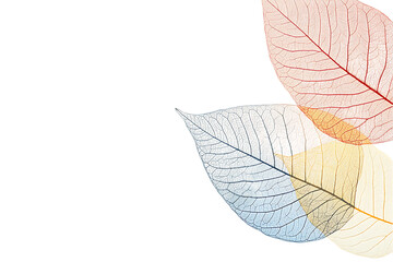Translucent Pastel Leaves: Delicate Skeletal Foliage Arrangement