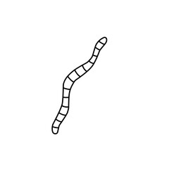 worm outline