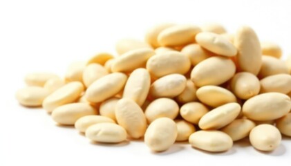 Pile of dried white beans against bright white, simple background, protein source, dried beans