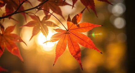 Autumn Glow Sunlit Maple Leaf Golden Hour Ember Crimson Canopy Sunset Radiance Backlit Autumn Leaf Fiery Maple in Sunlight AI Generated
