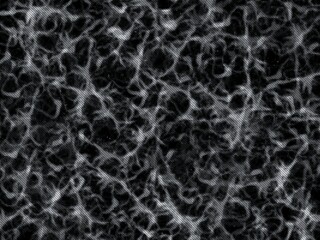 A dark background displays a complex pattern of light gray, organic shapes.  These intertwined forms resemble veins or roots, creating a textured, net-like effect.
