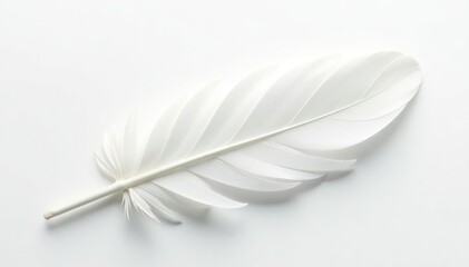 Close-up pristine white feathers on pure white background, wing, studio