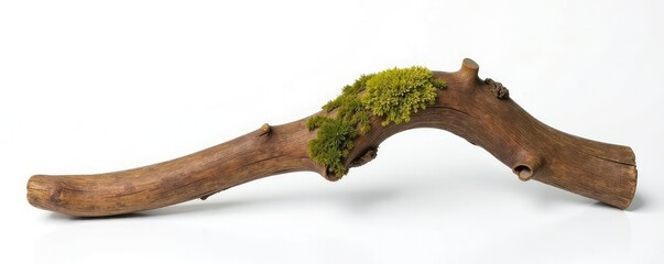 Naklejka premium Wooden branch with knot and some moss on white background, wood, branch, organic