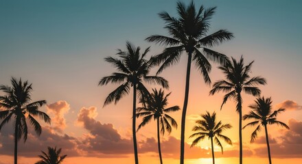 Sunset Palm Trees Silhouette Beach.